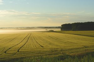 size of land in hectares