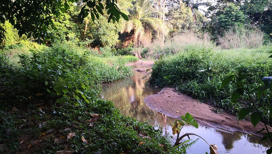 agodi